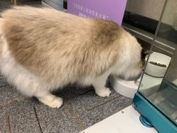 -元一肌肤管理中心
