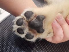 -comecome来吧宠物(奥克斯中心店)