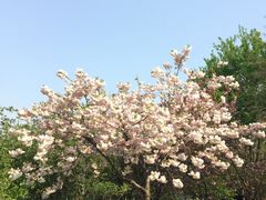 -江南大学(蠡湖校区)