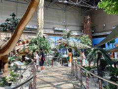 -国家自然博物馆