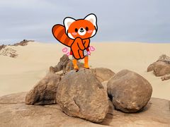 -玉龙沙湖景区