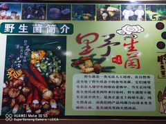 -菌之家·专业纯野生菌火锅·特色炒菌