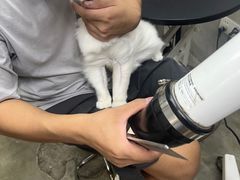 -PETKIT小佩宠物·低压洗护(国顺东路店)