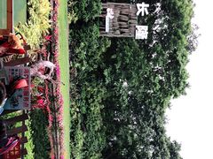 -广州长隆飞鸟乐园