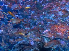 -成都浩海立方海洋公园