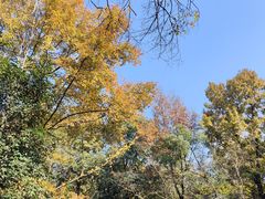 -岳麓山风景名胜区