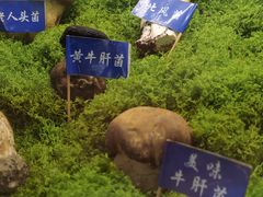 -束河人家(南锣鼓巷店)