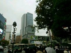 -涩谷全向十字路口