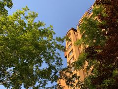 -天鹅湖生态旅游风景区