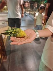 -酷嗒动物文化乐园(cutezoo西溪乐天城店)