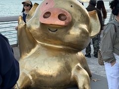 -星光大道