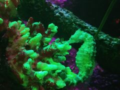 -沈阳海洋探索中心