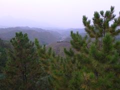 -紫海香堤香草艺术庄园