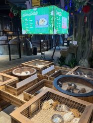 -酷嗒动物文化乐园(cutezoo西溪乐天城店)