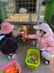 点击看大图 -蓝可可亲子乐园(北苑店)