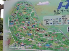 -合肥野生动物园