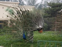 IMG_6189-月亮河温泉度假酒店