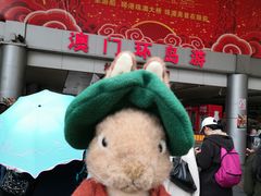 -澳门环岛游湾仔码头