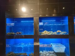 水产区-金时代顺风大酒店(临港百联店)