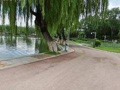 -济南国际园博园