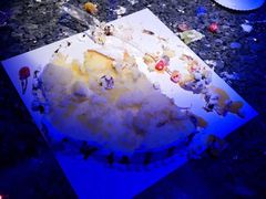 -星光灿烂KTV(金沙店)