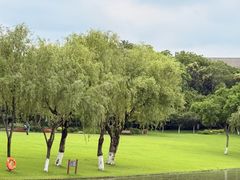-上海方塔园