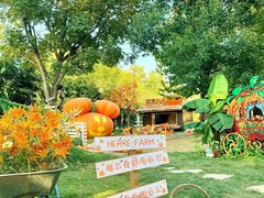 -HERRE·FARM 赫尔露营农场·团建聚会包场