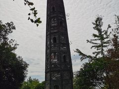 -上海佘山国家森林公园天马山园