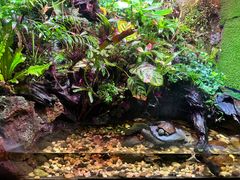 -上海海洋水族馆