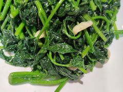 -旺金鸽·传承15年老字号·手工早茶(荔湾坦尾桥中店)