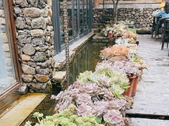 -炊烟餐厅