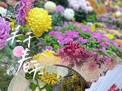 -杭州植物园