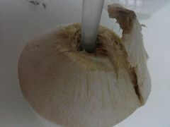 -PAGODA百果园(台柳路凯德广场店)