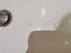 -三亚海棠湾万丽度假酒店