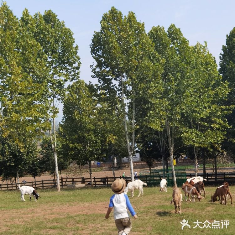 实用tips：江宁美丽乡村