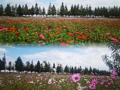 -嘉北郊野公园