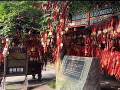 -杭州乐园