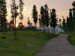-眉山湿地公园(东坡区)