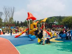 -铁山坪森林公园