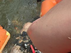 -雅鲁激流探险漂流