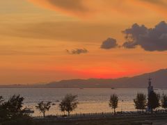 -盐洲岛