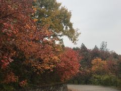 -北京鹫峰国家森林公园