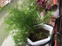 -苏州人家(锦溪镇店)