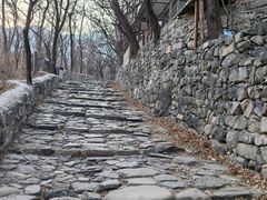 -阳台山自然风景区