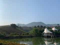 -帐篷客·溪龙茶谷度假酒店