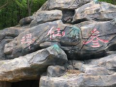 -参仙谷生态旅游度假区