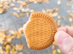 椰丝牛奶味饼干-北京稻香村(学清店)