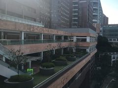-香港大学