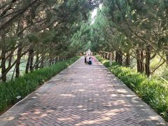 -洛阳市隋唐城遗址植物园