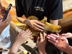 -Zoolung Zoolung动物主题公园(海信广场店)